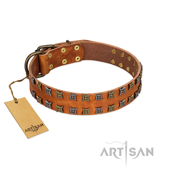 Reliable full grain natural leather dog collar with embellishments for your canine