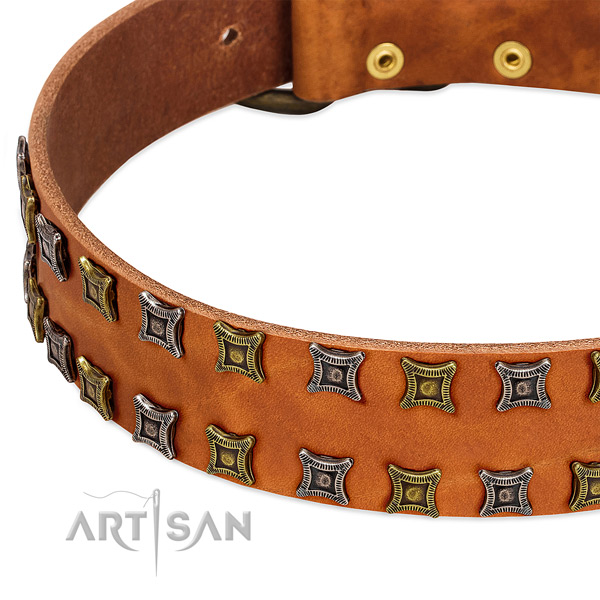 Top rate full grain natural leather dog collar for your handsome pet