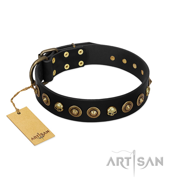 Genuine leather collar with unique adornments for your pet