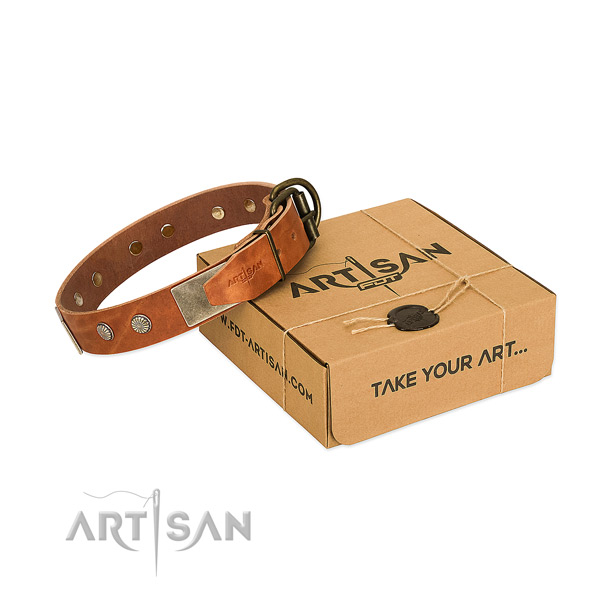 Rust-proof fittings on dog collar for daily walking