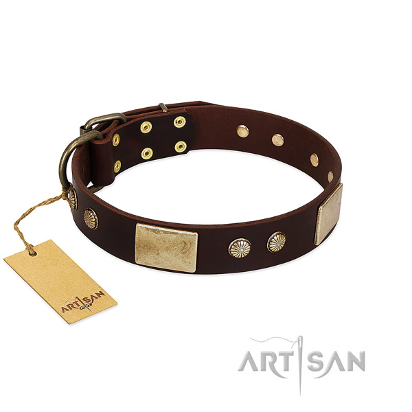 Easy wearing genuine leather dog collar for daily walking your pet