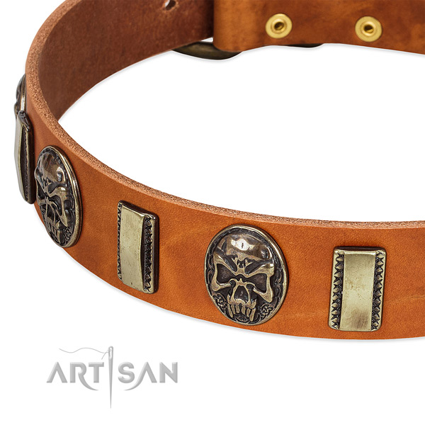 Corrosion proof decorations on full grain genuine leather dog collar for your pet