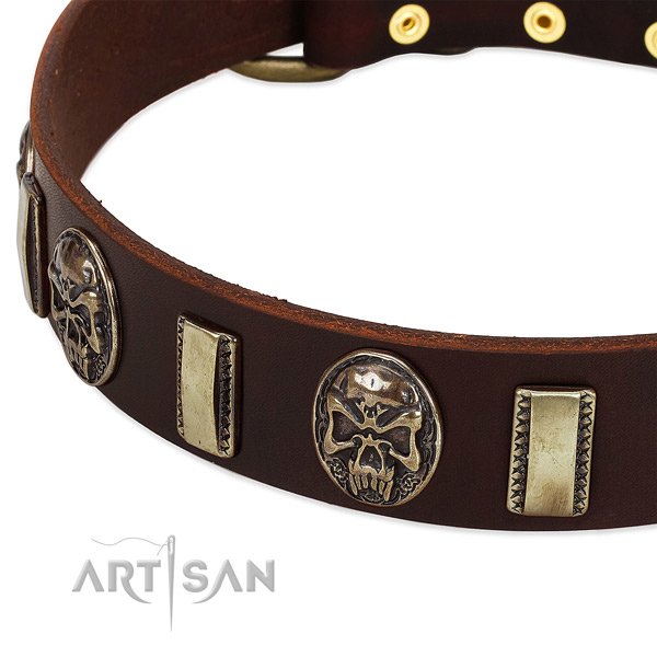 Corrosion proof fittings on natural genuine leather dog collar for your pet