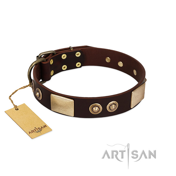 Easy wearing full grain natural leather dog collar for daily walking your dog
