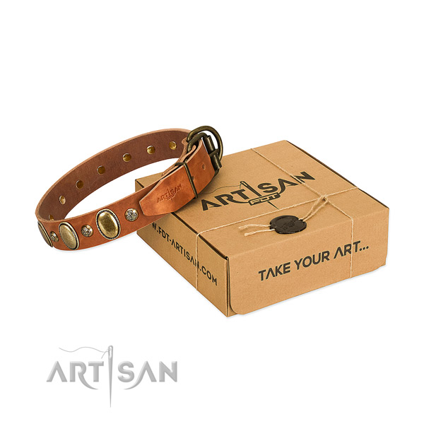 Impressive genuine leather dog collar with rust resistant fittings