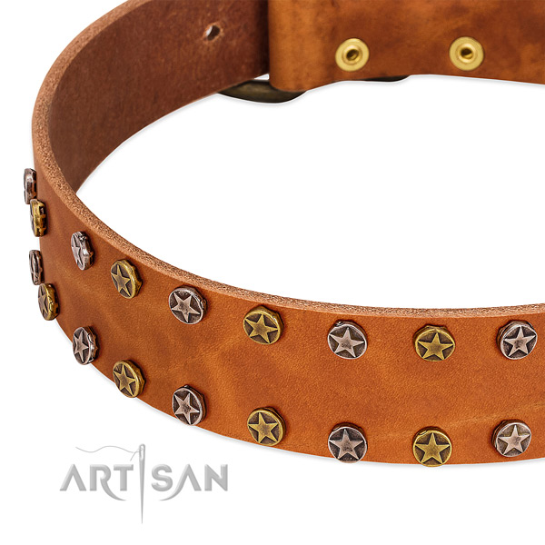 Everyday use natural leather dog collar with exquisite adornments