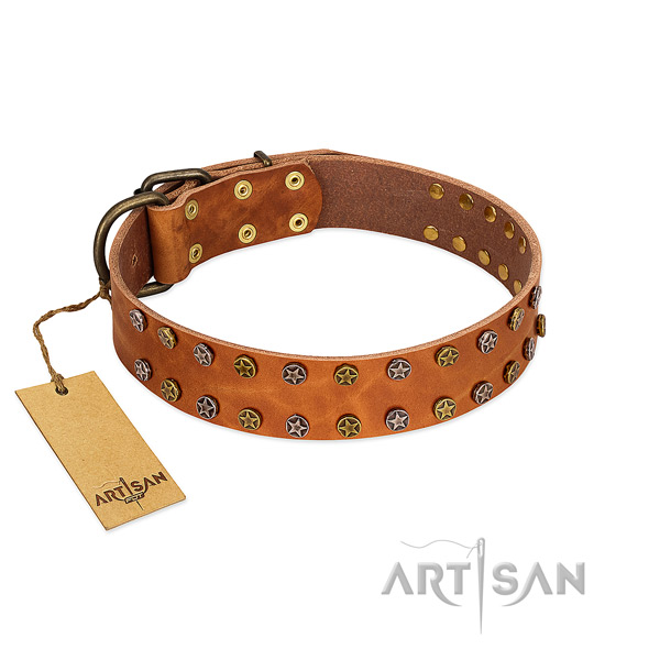 Stylish walking soft full grain genuine leather dog collar with embellishments