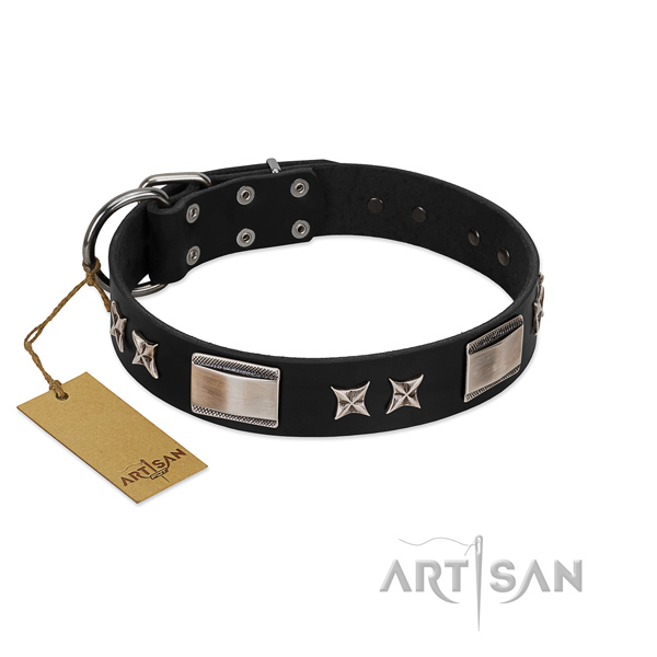 Trendy dog collar of full grain leather