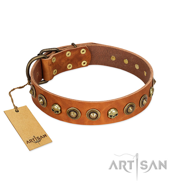Full grain leather collar with awesome embellishments for your dog