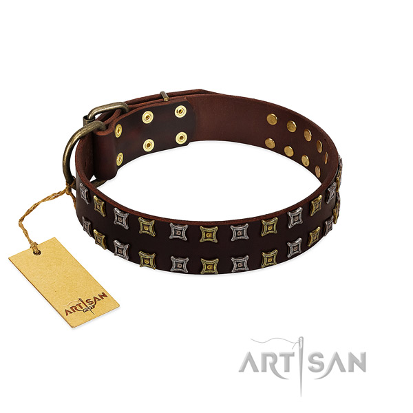 Reliable genuine leather dog collar with adornments for your doggie