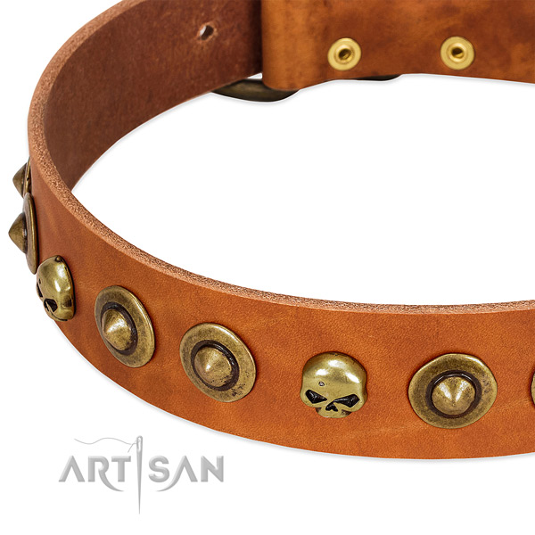 Stylish design studs on full grain natural leather collar for your doggie