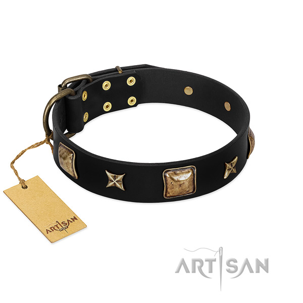 Leather dog collar of soft to touch material with impressive decorations