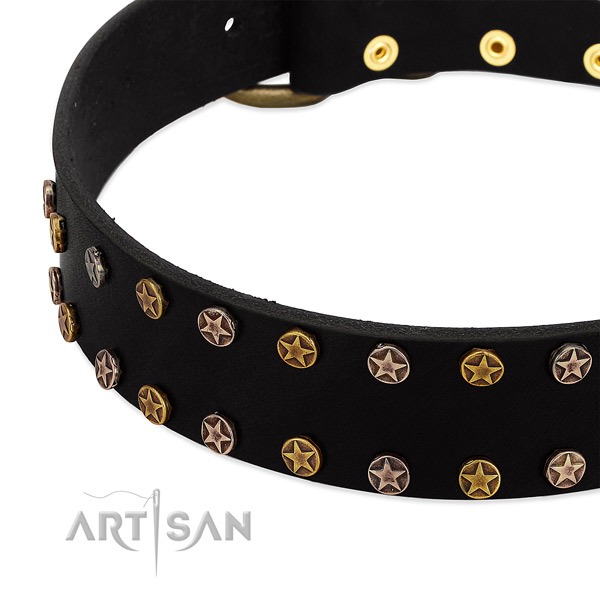 Amazing embellishments on full grain natural leather collar for your dog