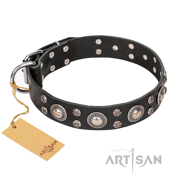 Long-wearing leather dog collar with rust-proof details