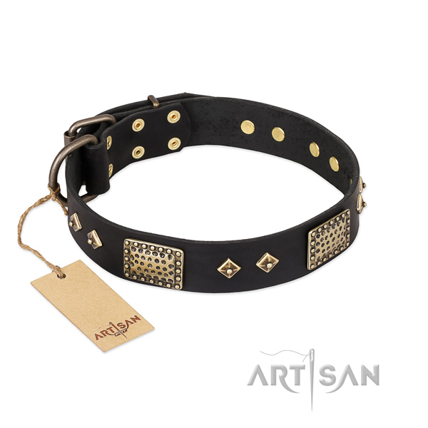 Inimitable design adornments on leather dog collar