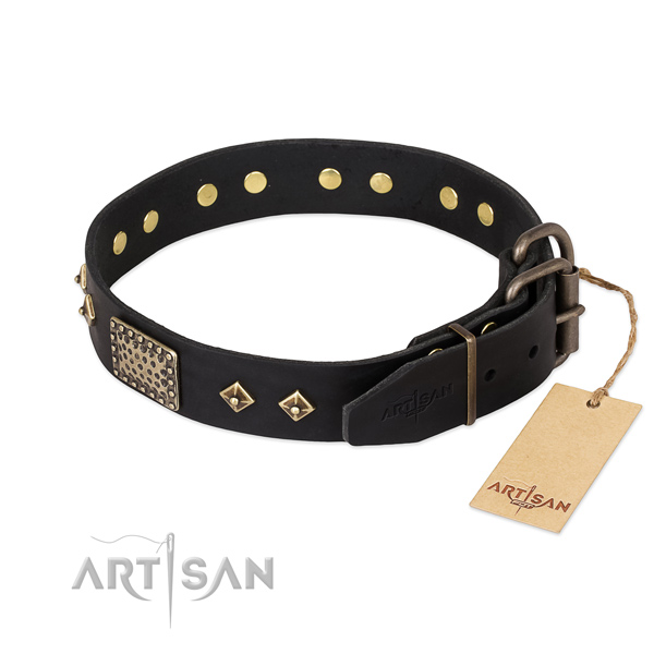 Stylish walking full grain natural leather collar with studs for your pet