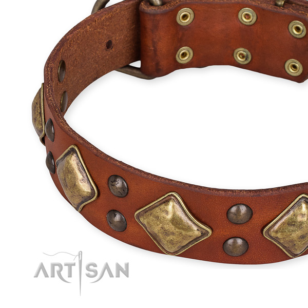 Easy to put on/off leather dog collar with almost unbreakable brass plated hardware