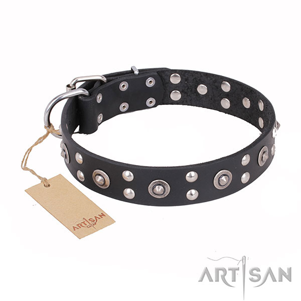 Exceptional design adornments on full grain genuine leather dog collar