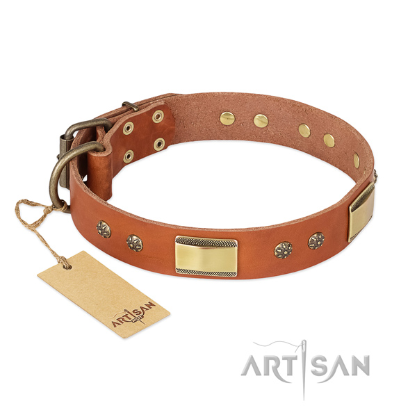 Impressive design studs on full grain natural leather dog collar