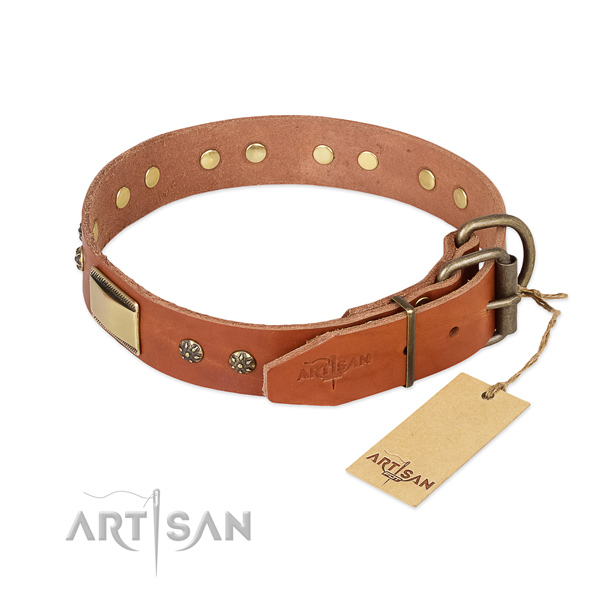 Everyday walking full grain natural leather collar with studs for your canine