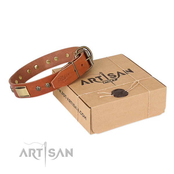 High quality full grain leather dog collar for walking