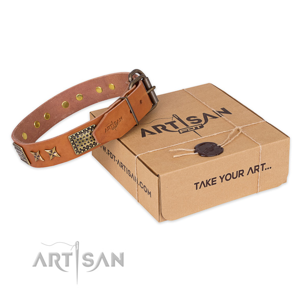 Impressive full grain natural leather dog collar for walking in style