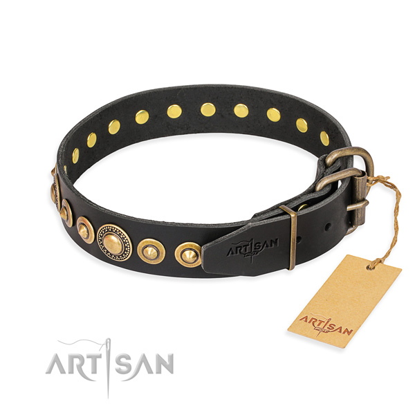 Everyday leather collar for your handsome pet