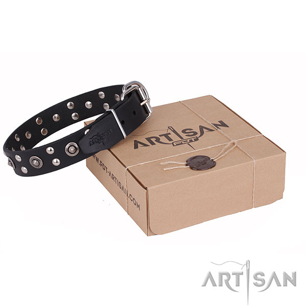 High quality full grain genuine leather dog collar for walking in style