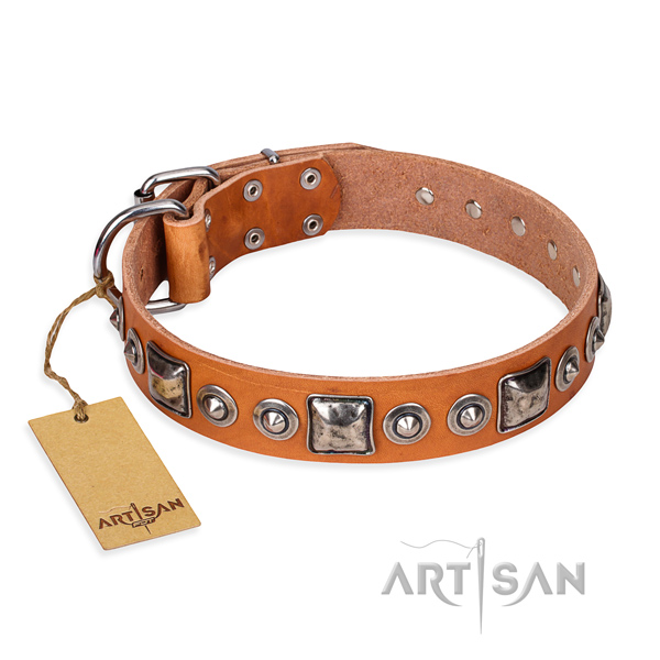 Long-lasting leather dog collar with rust-resistant fittings