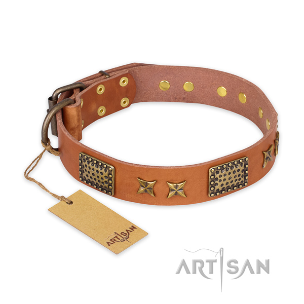 Top notch design adornments on natural genuine leather dog collar
