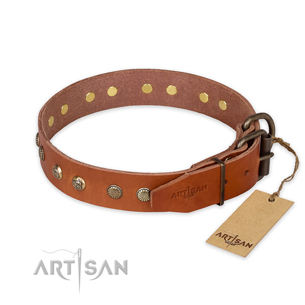 Everyday walking full grain leather collar with decorations for your dog