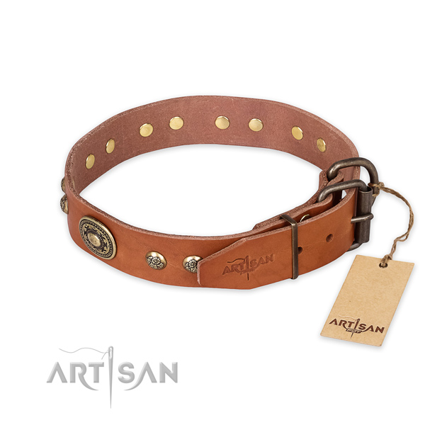 Stylish walking leather collar with studs for your pet