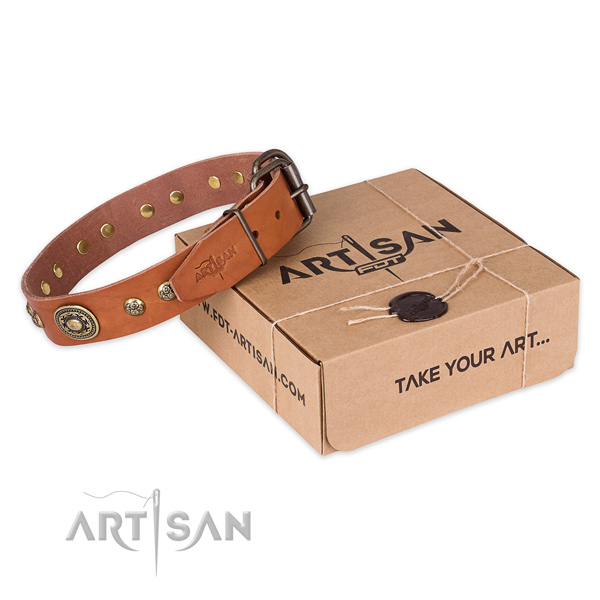 Fashionable genuine leather dog collar for walking in style