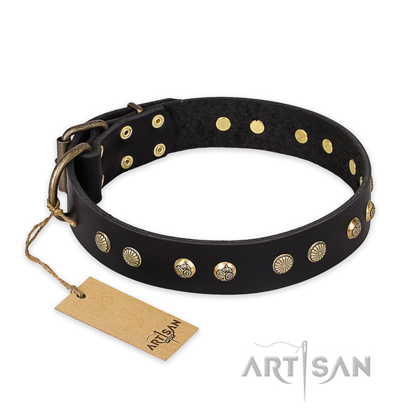 Impressive design studs on leather dog collar