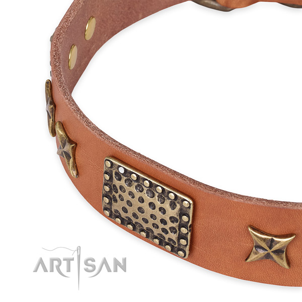 Easy to put on/off leather dog collar with resistant durable hardware