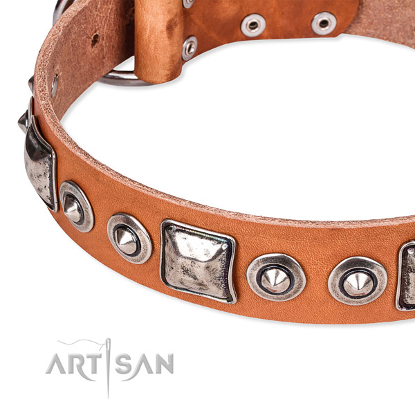 Quick to fasten leather dog collar with resistant to tear and wear non-rusting buckle