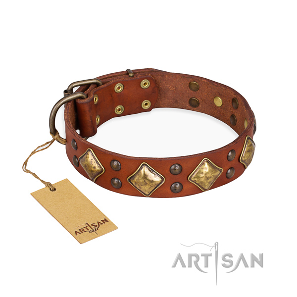 Remarkable design adornments on genuine leather dog collar