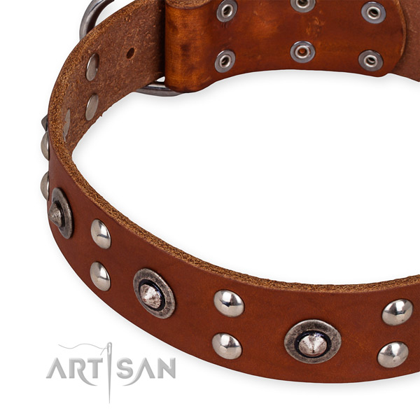 Easy to adjust leather dog collar with extra strong non-rusting set of hardware