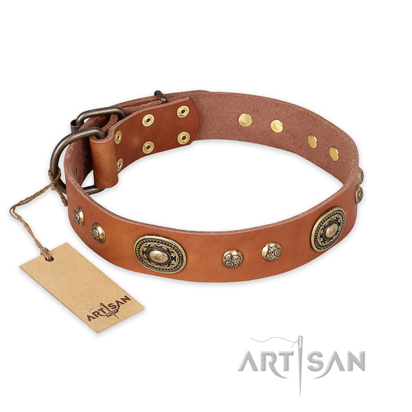 Trendy design adornments on full grain genuine leather dog collar