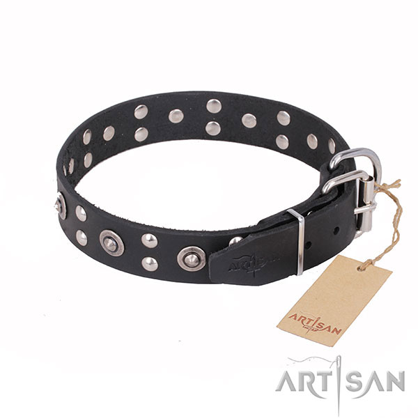 Fashionable leather collar for your darling pet