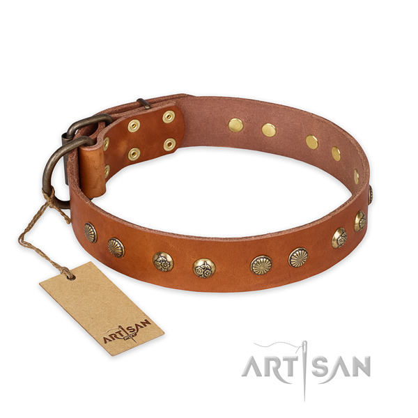 Incredible design studs on genuine leather dog collar