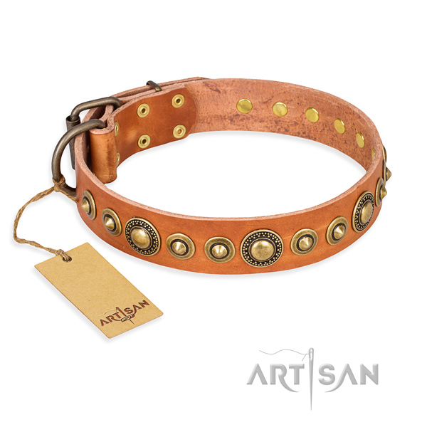 Heavy-duty leather dog collar with strong fittings
