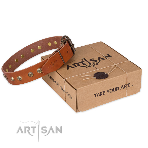 Trendy full grain leather dog collar for walking in style
