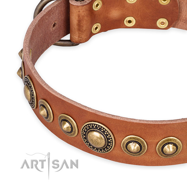 Quick to fasten leather dog collar with almost unbreakable rust-proof buckle