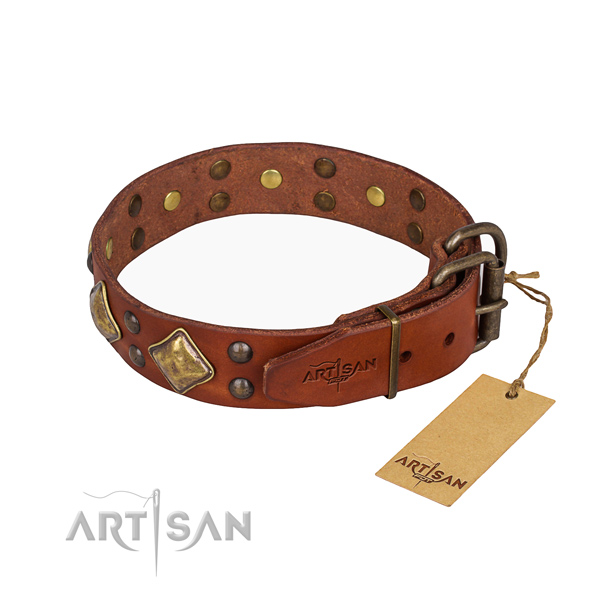 Practical leather collar for your gorgeous four-legged friend