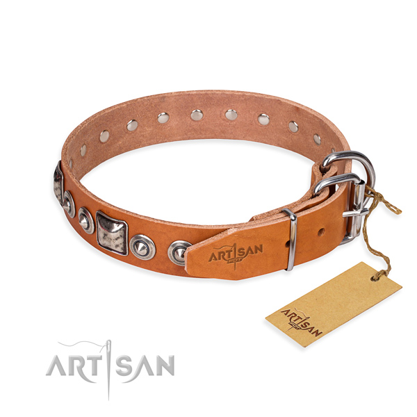 Durable leather collar for your handsome four-legged friend