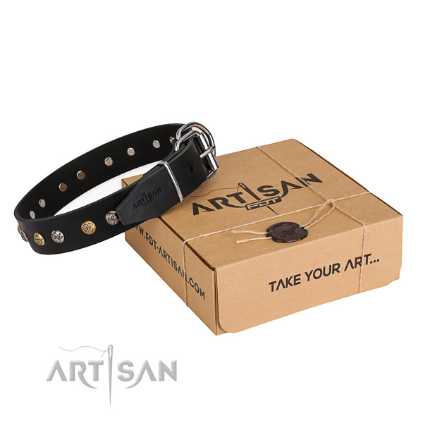High quality full grain leather dog collar for daily use