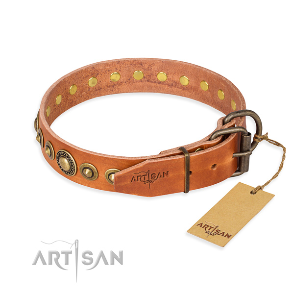 Daily leather collar for your elegant four-legged friend