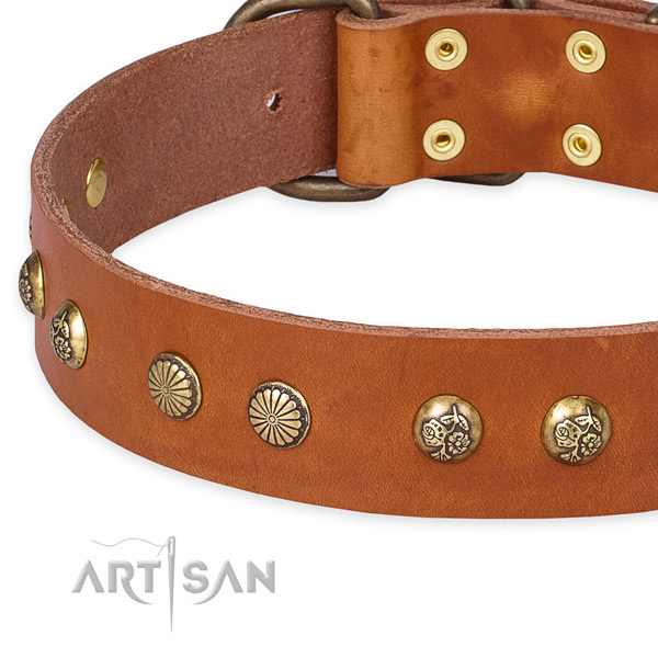 Quick to fasten leather dog collar with extra sturdy rust-proof set of hardware