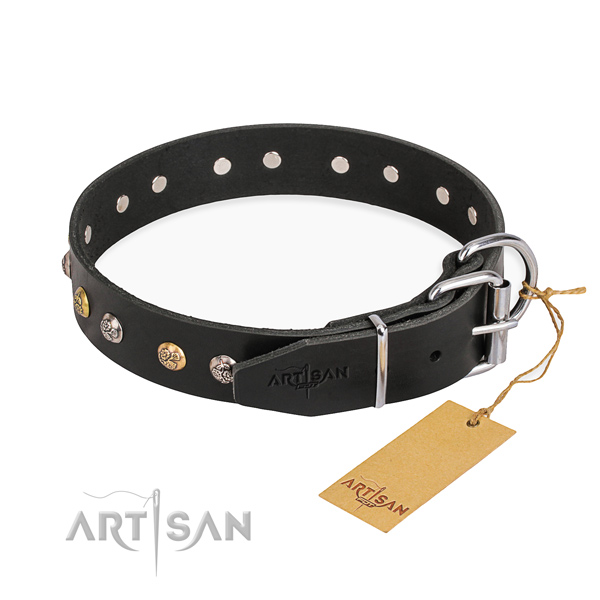 Exceptional design embellishments on leather dog collar